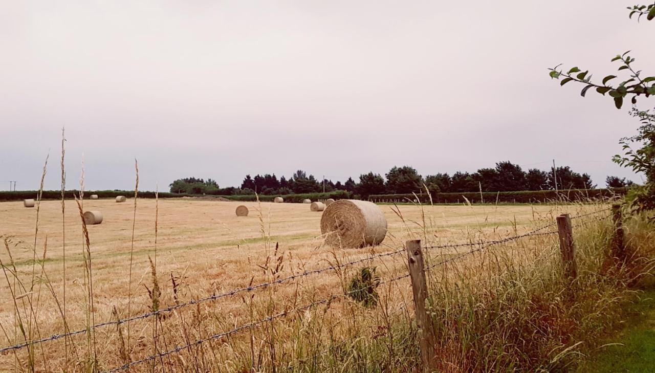 The Dutch Barn Appartamento Bristol Esterno foto